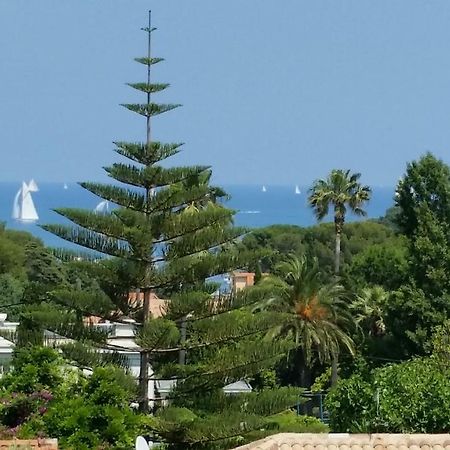 Green Cap D'אנטיב מראה חיצוני תמונה